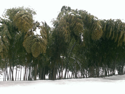 20140214_10.jpg