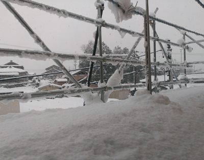 20140214_3.jpg