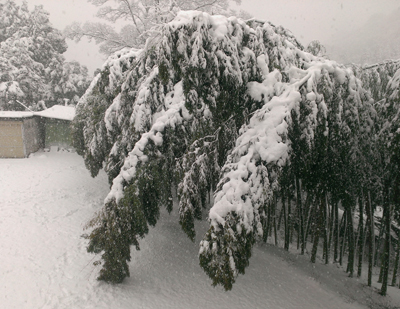 20140214_4.jpg