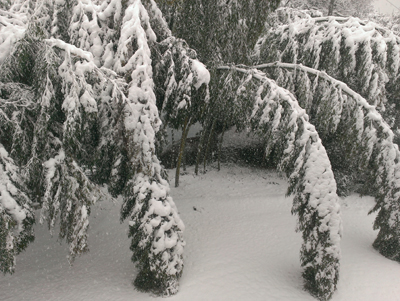 20140214_5.jpg