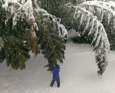 20140214_6.jpg