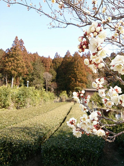 20140224_1.jpg