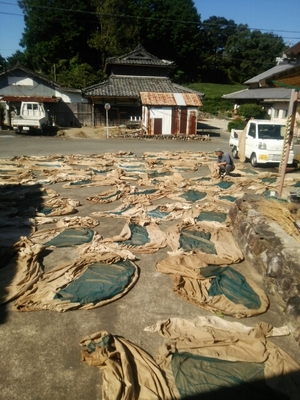 20151008012234338.jpg