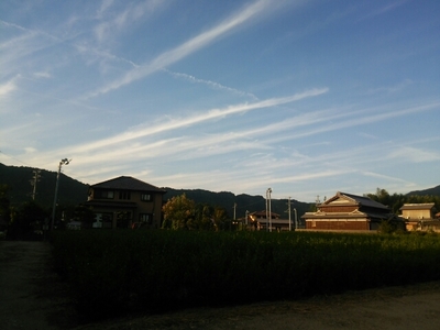 20160902235233208.jpg
