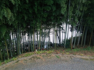 20160920235209449.jpg