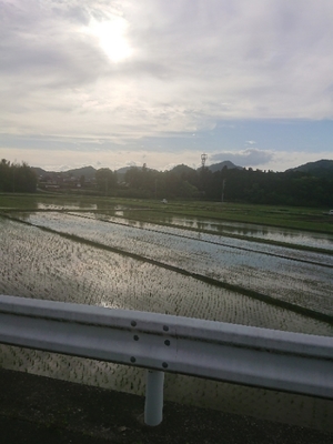 20180503172635019.jpg