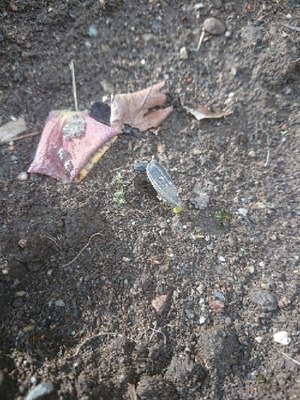 20180503172745410.jpg