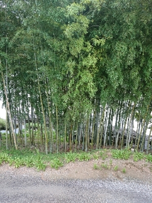 20180904111400773.jpg
