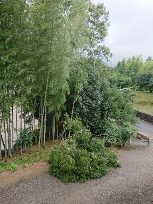 20180904154325171.jpg