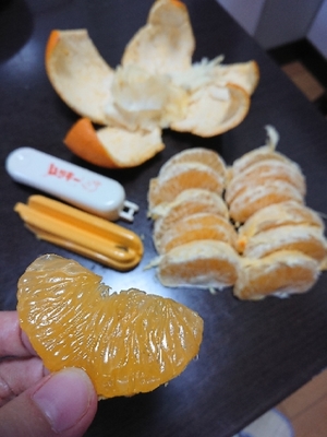 20190314153737983.jpg