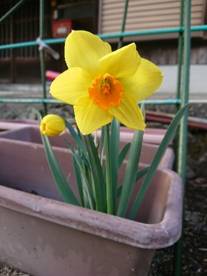 20190314153749768.jpg