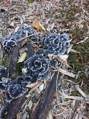 20190314153800431.jpg