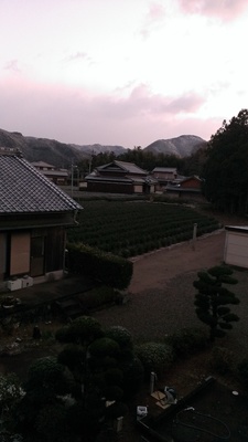 IMAG0009.jpg